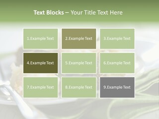 Business Architect Residential PowerPoint Template