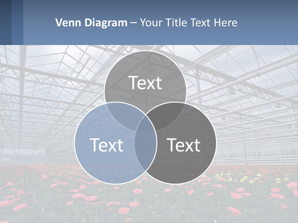 Construction Investment Architect PowerPoint Template