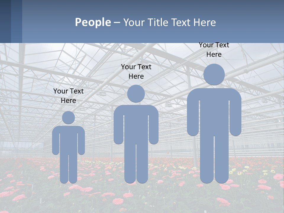 Construction Investment Architect PowerPoint Template