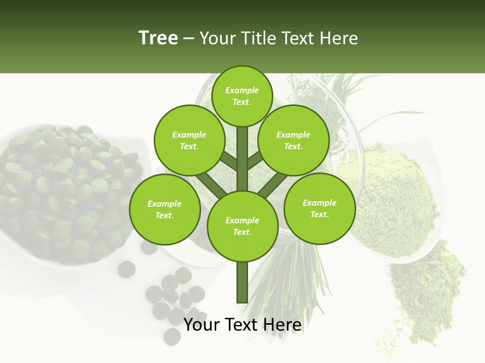 Home Build Construction PowerPoint Template