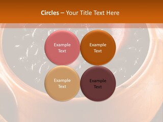 Park Rent Sky PowerPoint Template