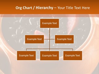 Park Rent Sky PowerPoint Template