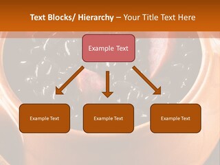 Park Rent Sky PowerPoint Template