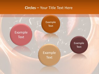 Park Rent Sky PowerPoint Template