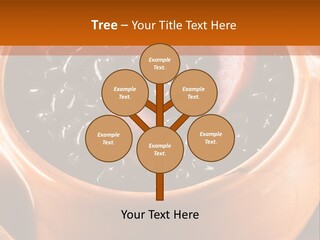 Park Rent Sky PowerPoint Template