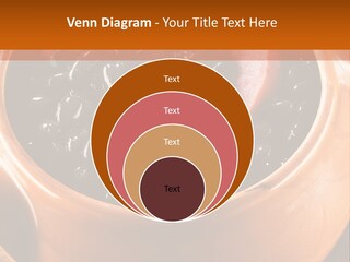 Park Rent Sky PowerPoint Template