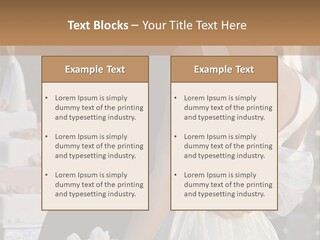 Finance Garden New PowerPoint Template