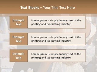 Finance Garden New PowerPoint Template