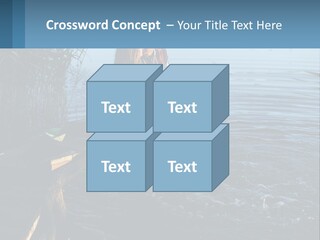 Business Estate Purchase PowerPoint Template