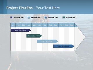 Business Estate Purchase PowerPoint Template