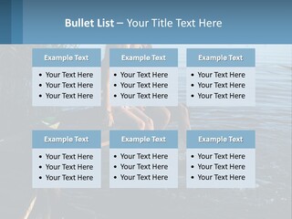 Business Estate Purchase PowerPoint Template