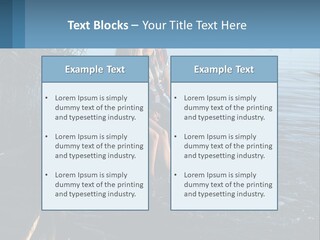 Business Estate Purchase PowerPoint Template