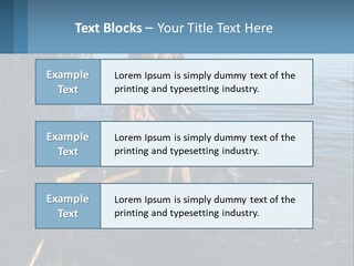 Business Estate Purchase PowerPoint Template