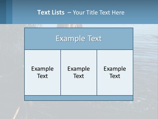 Business Estate Purchase PowerPoint Template