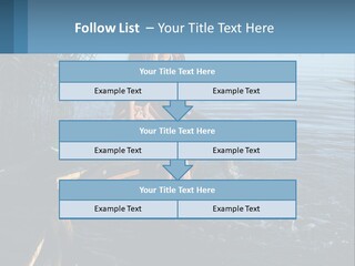 Business Estate Purchase PowerPoint Template