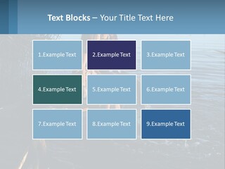 Business Estate Purchase PowerPoint Template