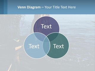 Business Estate Purchase PowerPoint Template