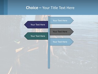 Business Estate Purchase PowerPoint Template