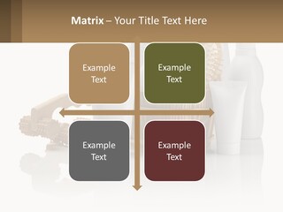 Agent Ownership Property PowerPoint Template