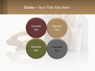 Agent Ownership Property PowerPoint Template