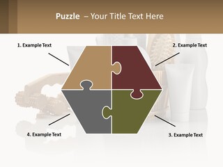 Agent Ownership Property PowerPoint Template