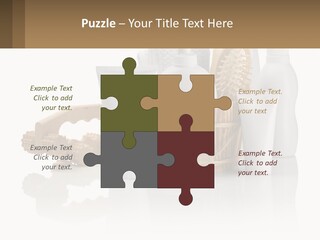 Agent Ownership Property PowerPoint Template