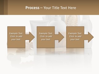 Agent Ownership Property PowerPoint Template