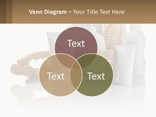 Agent Ownership Property PowerPoint Template