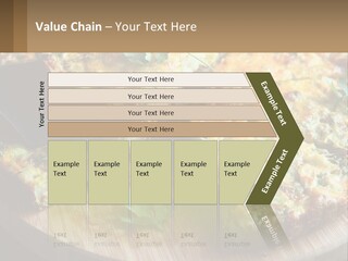 Park Leaf Buy PowerPoint Template