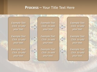 Park Leaf Buy PowerPoint Template