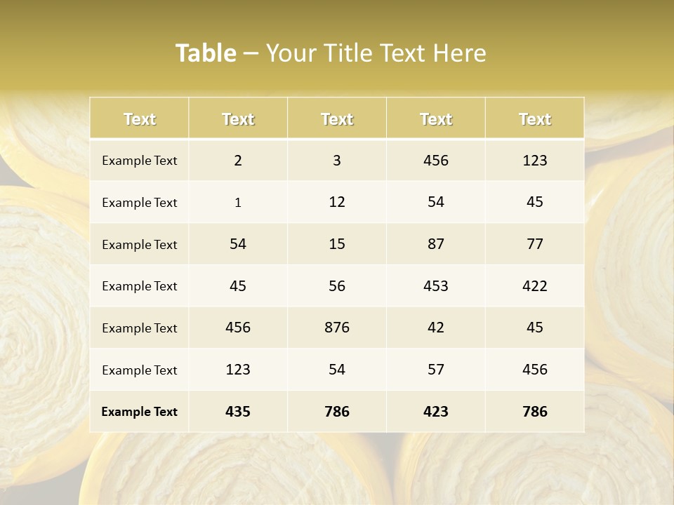 Rent Ownership House PowerPoint Template