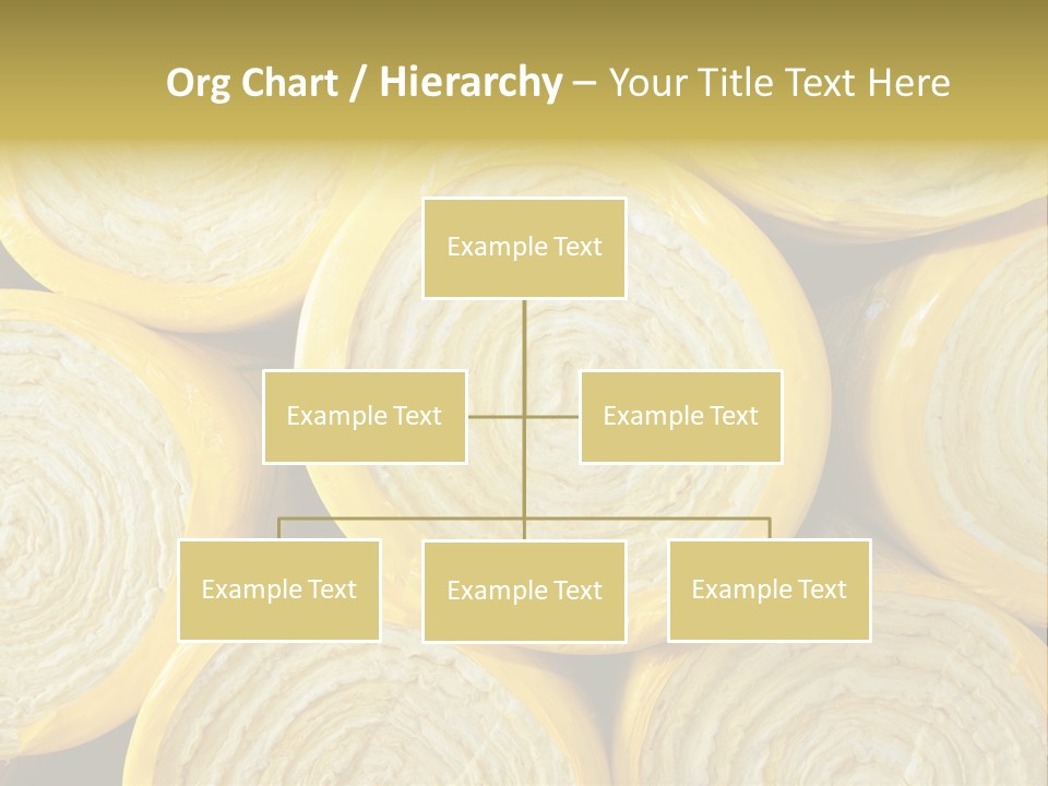 Rent Ownership House PowerPoint Template
