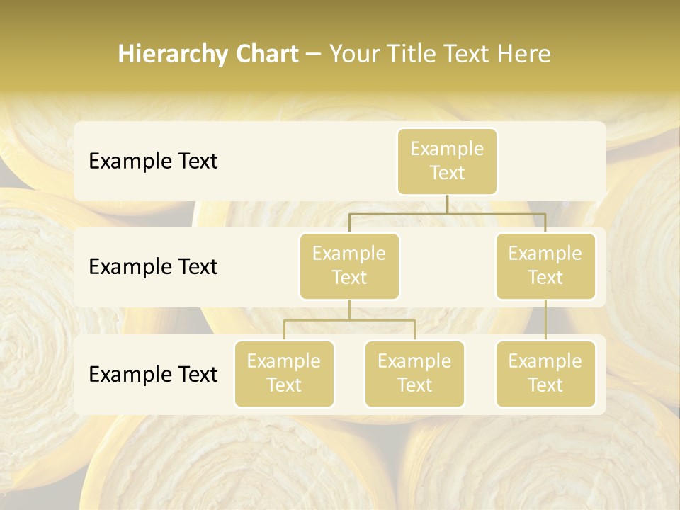 Rent Ownership House PowerPoint Template