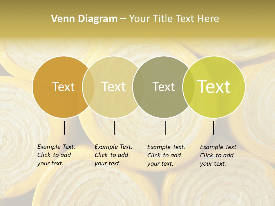 Rent Ownership House PowerPoint Template