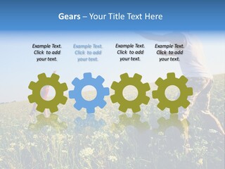 Finance Lawn Green PowerPoint Template