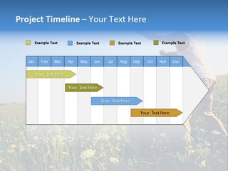 Finance Lawn Green PowerPoint Template