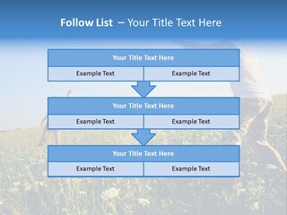 Finance Lawn Green PowerPoint Template