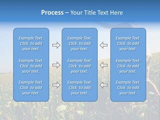 Finance Lawn Green PowerPoint Template