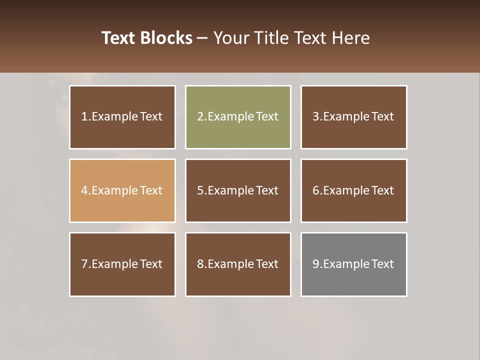 Business Architect Purchase PowerPoint Template