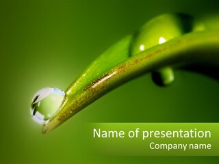 Small Sky Conceptual PowerPoint Template