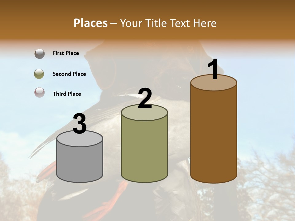 Rent Residential Conceptual PowerPoint Template
