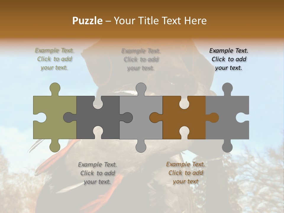 Rent Residential Conceptual PowerPoint Template