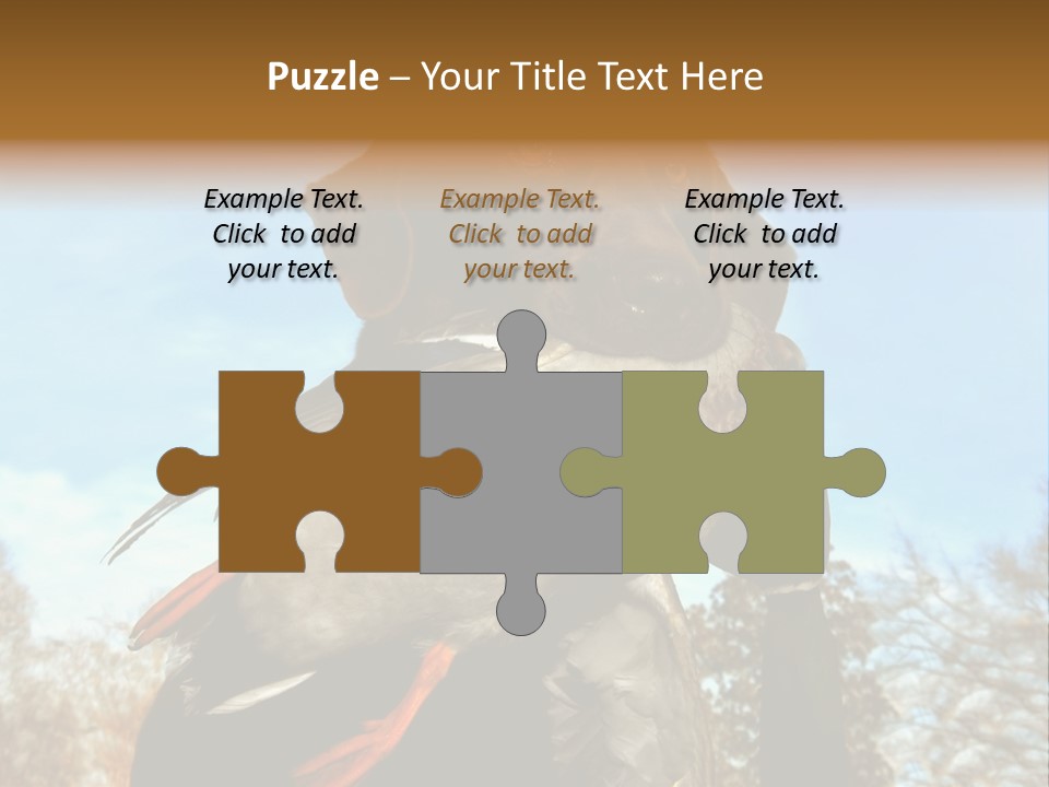 Rent Residential Conceptual PowerPoint Template