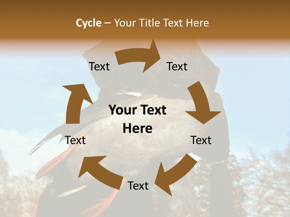 Rent Residential Conceptual PowerPoint Template