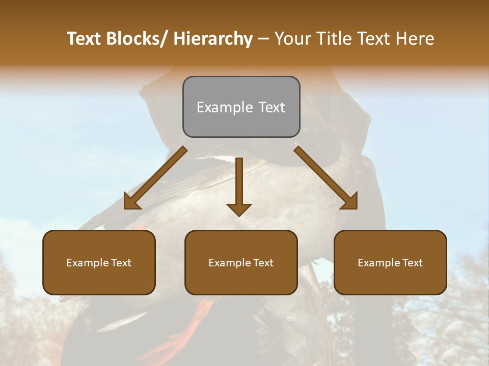 Rent Residential Conceptual PowerPoint Template
