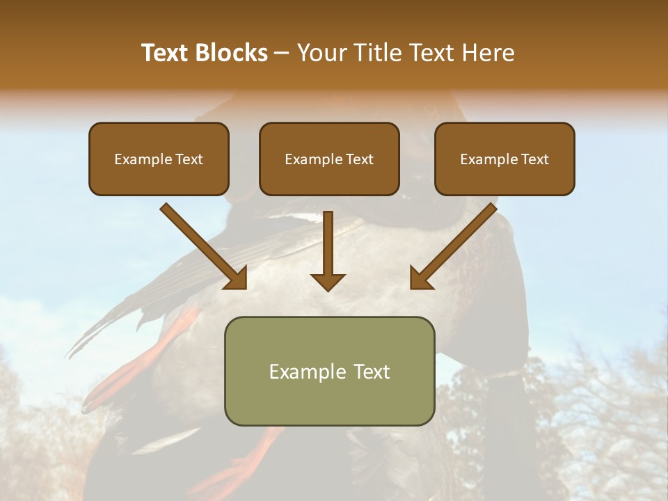 Rent Residential Conceptual PowerPoint Template