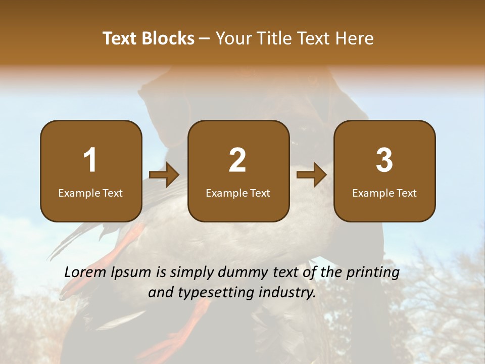 Rent Residential Conceptual PowerPoint Template