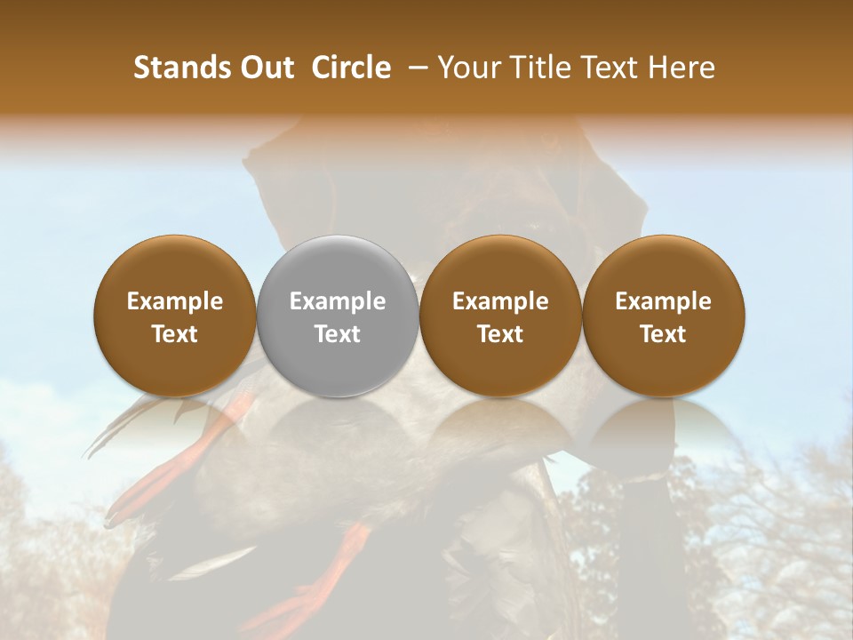 Rent Residential Conceptual PowerPoint Template