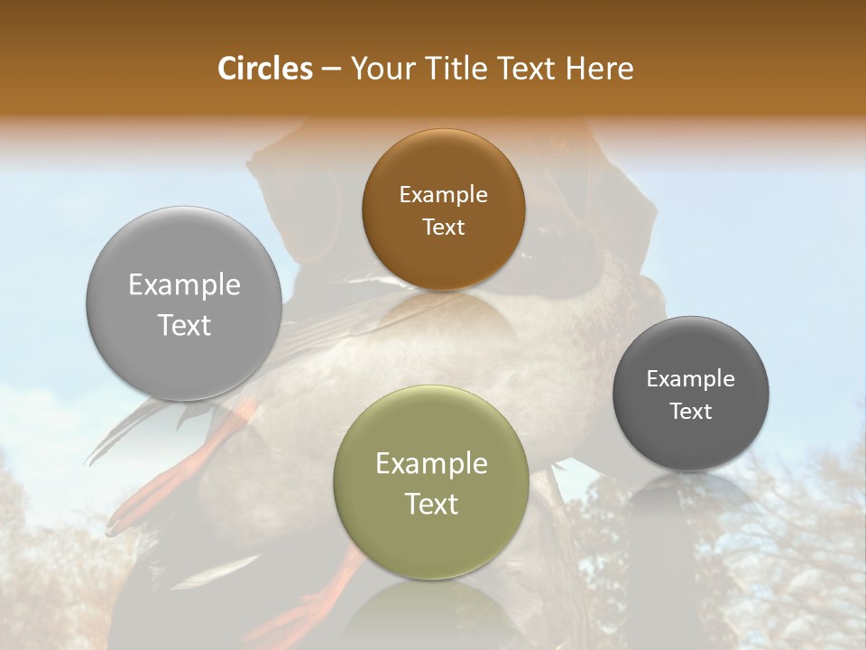 Rent Residential Conceptual PowerPoint Template
