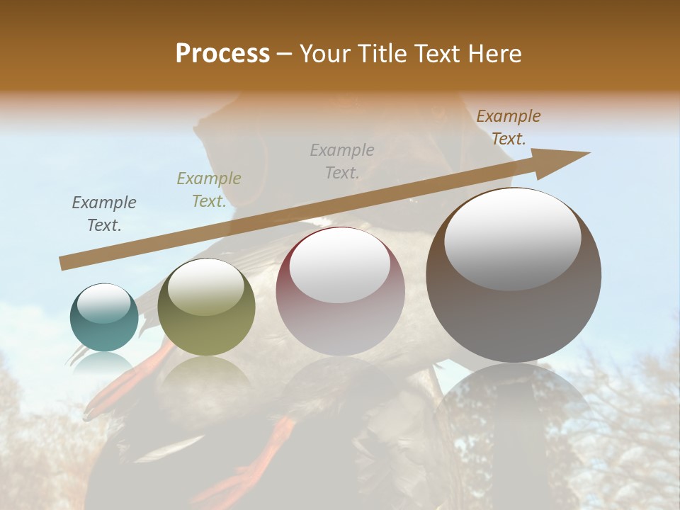 Rent Residential Conceptual PowerPoint Template